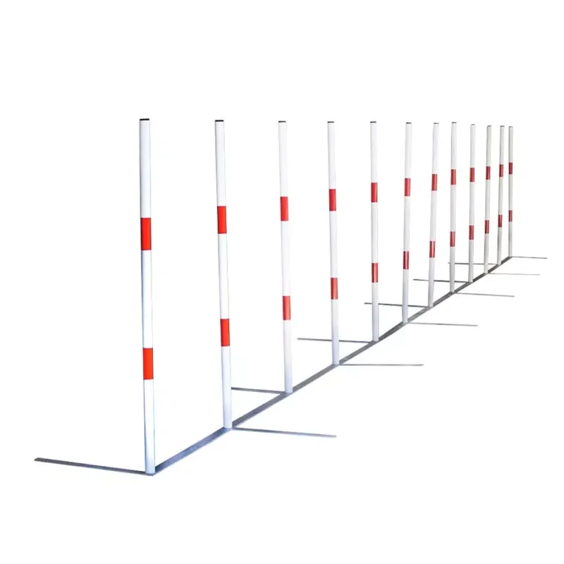 BASIC slalom 1