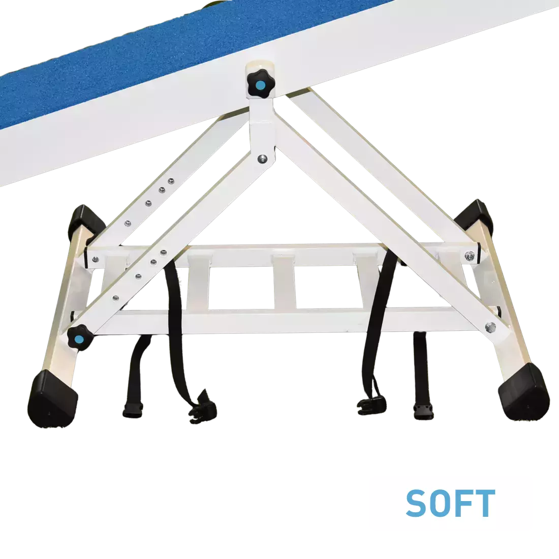 LITE seesaw – Galican