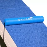 SoftStep Regulator for Dogwalk