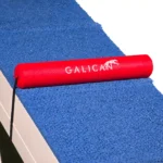 SoftStep Regulator for Dogwalk