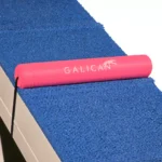 SoftStep Regulator for Dogwalk