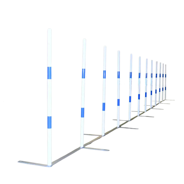 Slalom-Competicion ppal