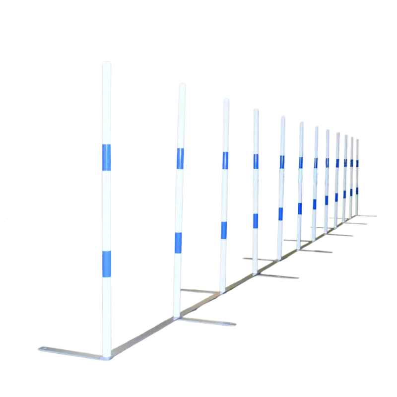 Slalom-Competicion ppal