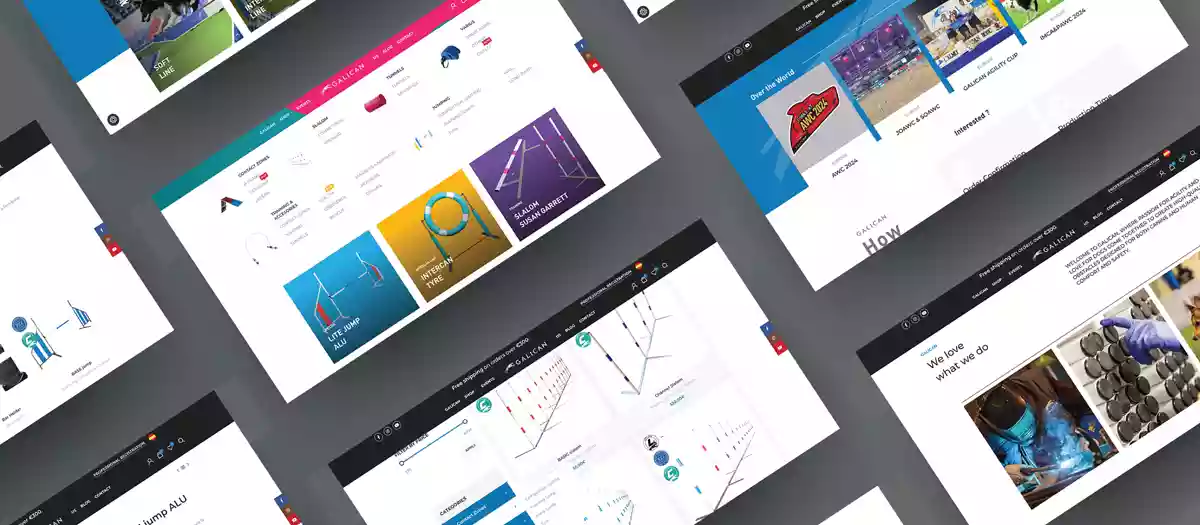 Galican – Wir stehen für Qualität und Freude am Agility