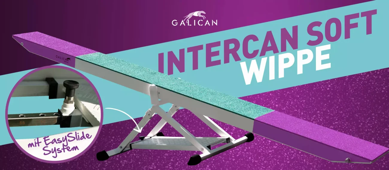 Intercan Wippen – Sicherheit trifft Innovation