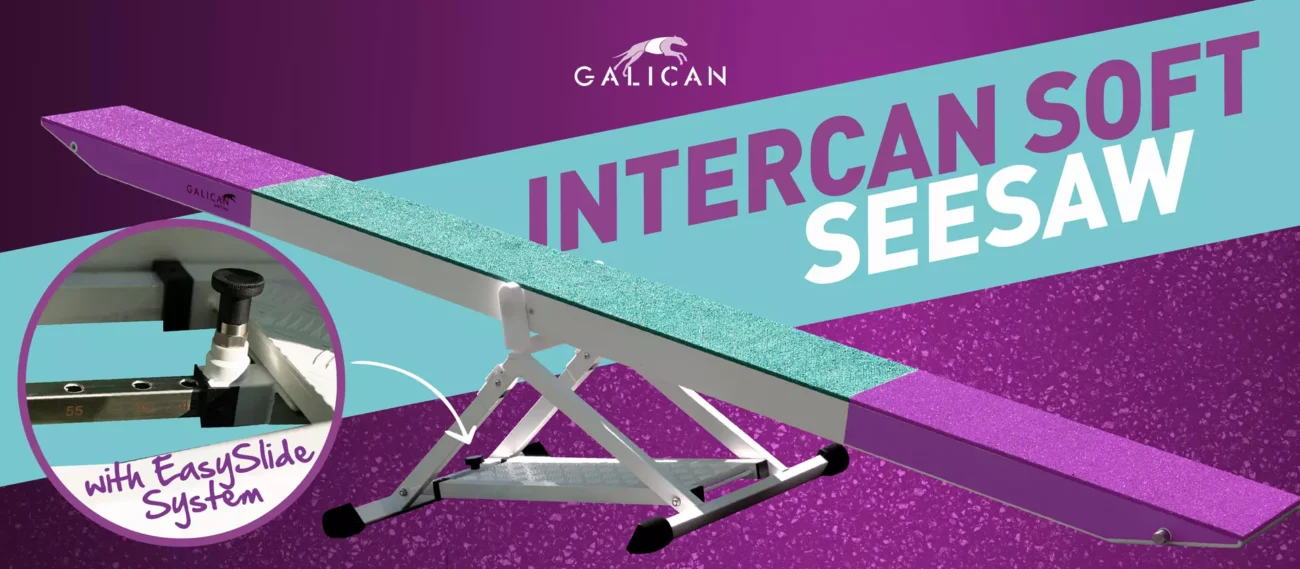 Intercan Seesaws – Safety Meets Innovation