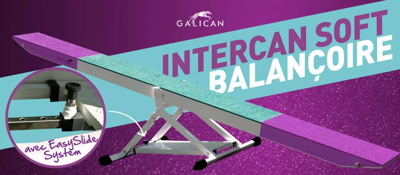 Bascules Intercan – Sécurité et innovation
