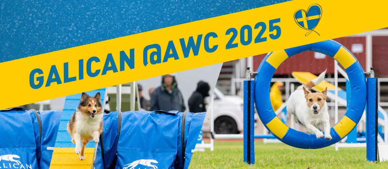 Galican au AWC 2025 à Kalmar !