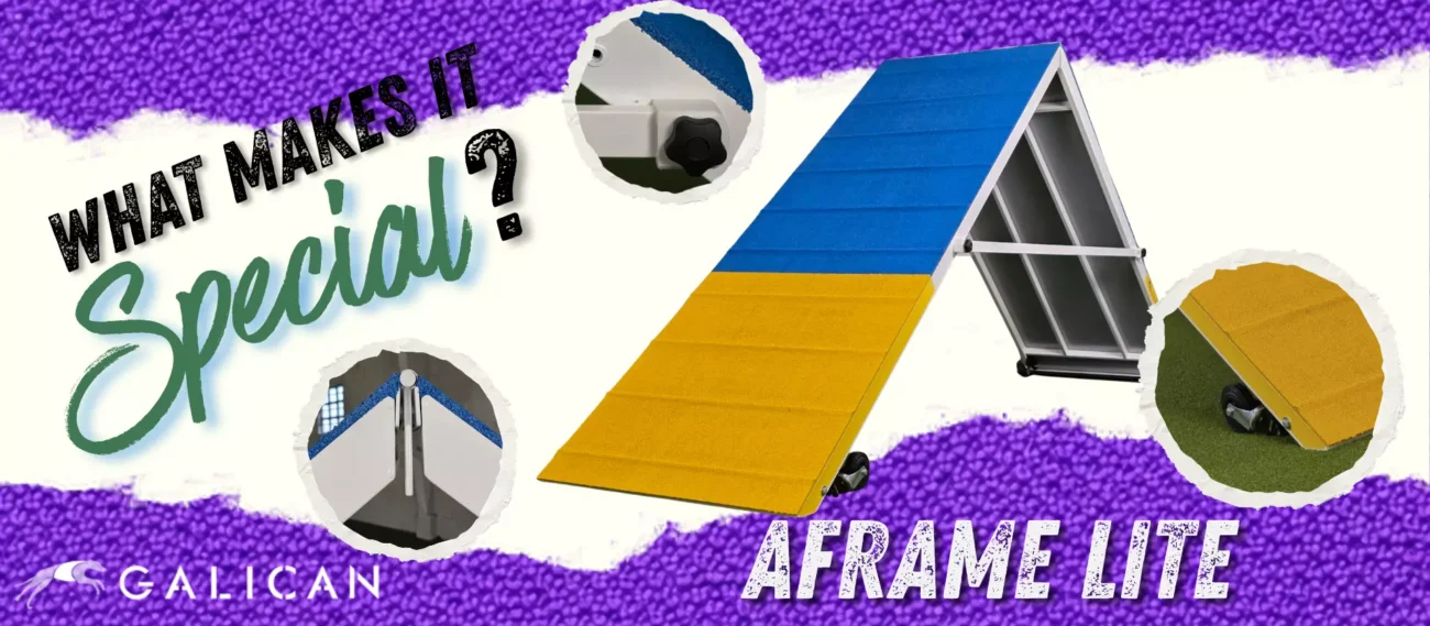 What makes the A Frame Lite special