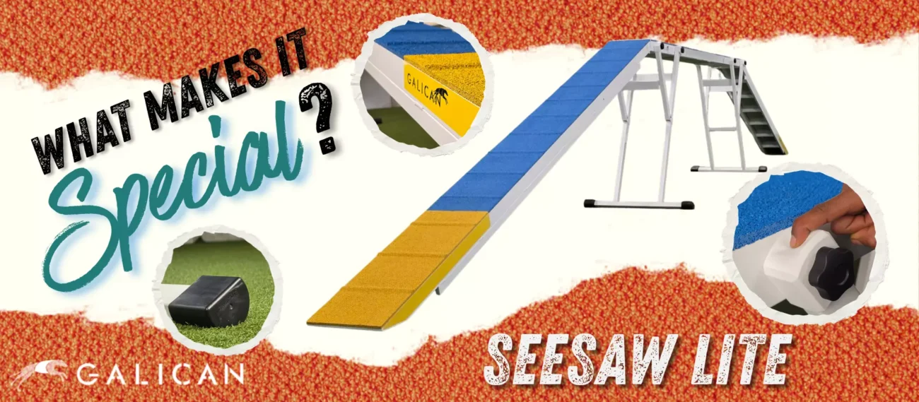 What makes the DogWalk Lite special