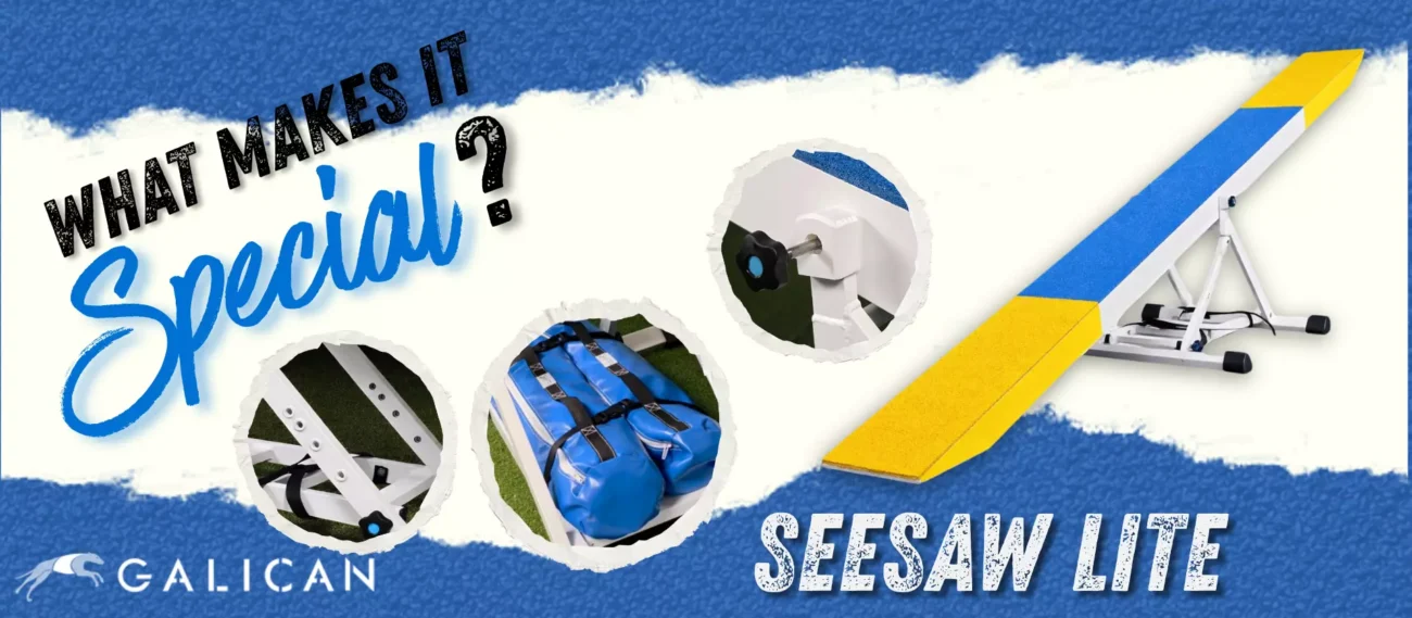 What makes the See-Saw Lite special