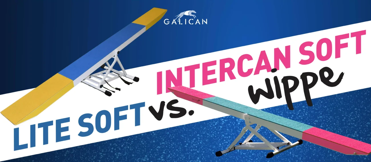Intercan Soft vs. Lite Soft Wippe