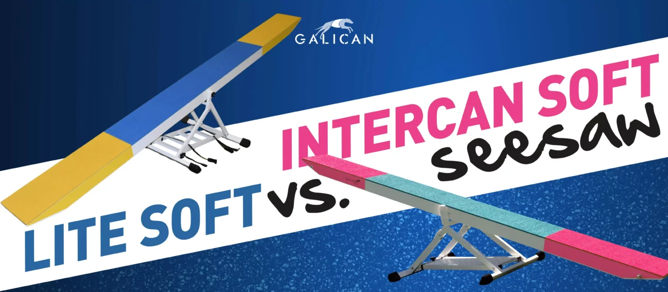 Intercan Soft vs. Lite Soft Seesaw