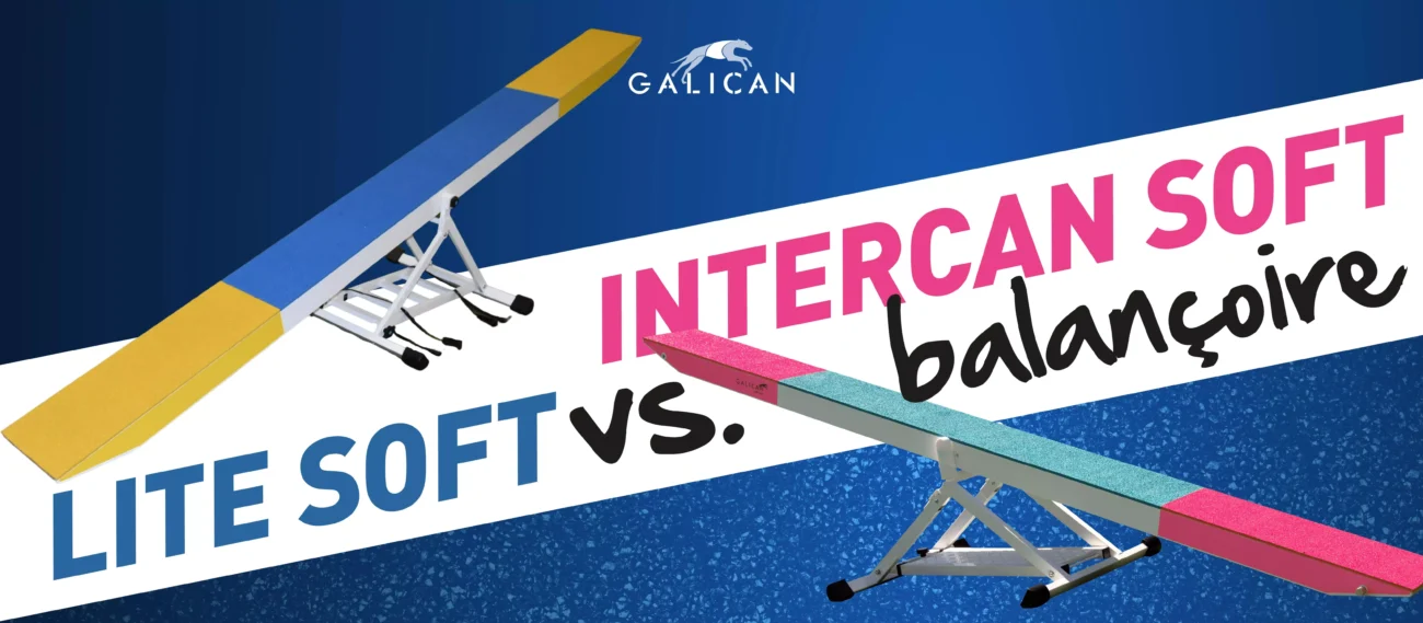 Intercan Soft vs. Lite Soft Bascule