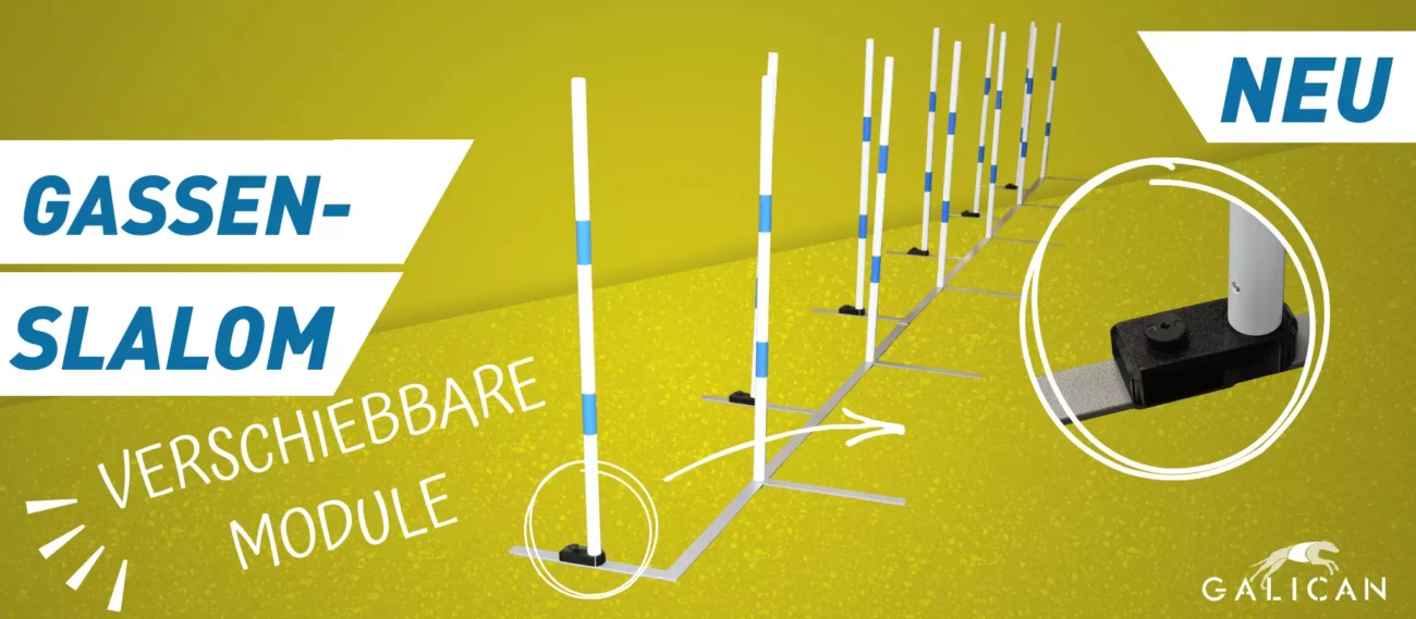 Gassenslalom mit neuen beweglichen Modulen