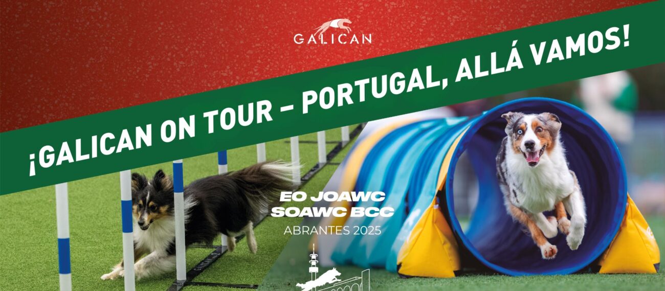 ¡Galican on Tour – Portugal, allá vamos!