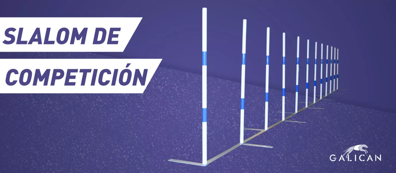 El nuevo Slalom de Competición FCI Galican