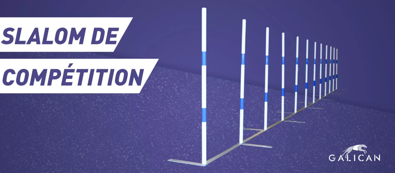 Le nouveau Slalom de Compétition FCI Galican