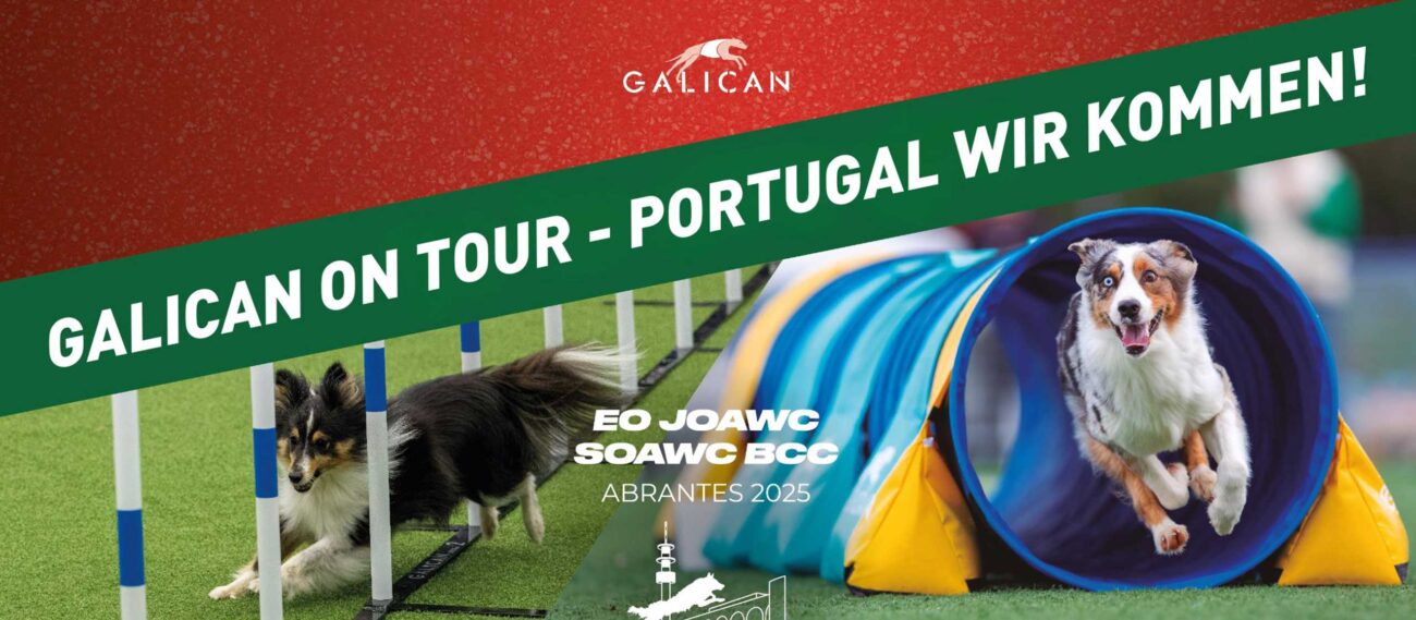Galican on Tour – Portugal, wir kommen!