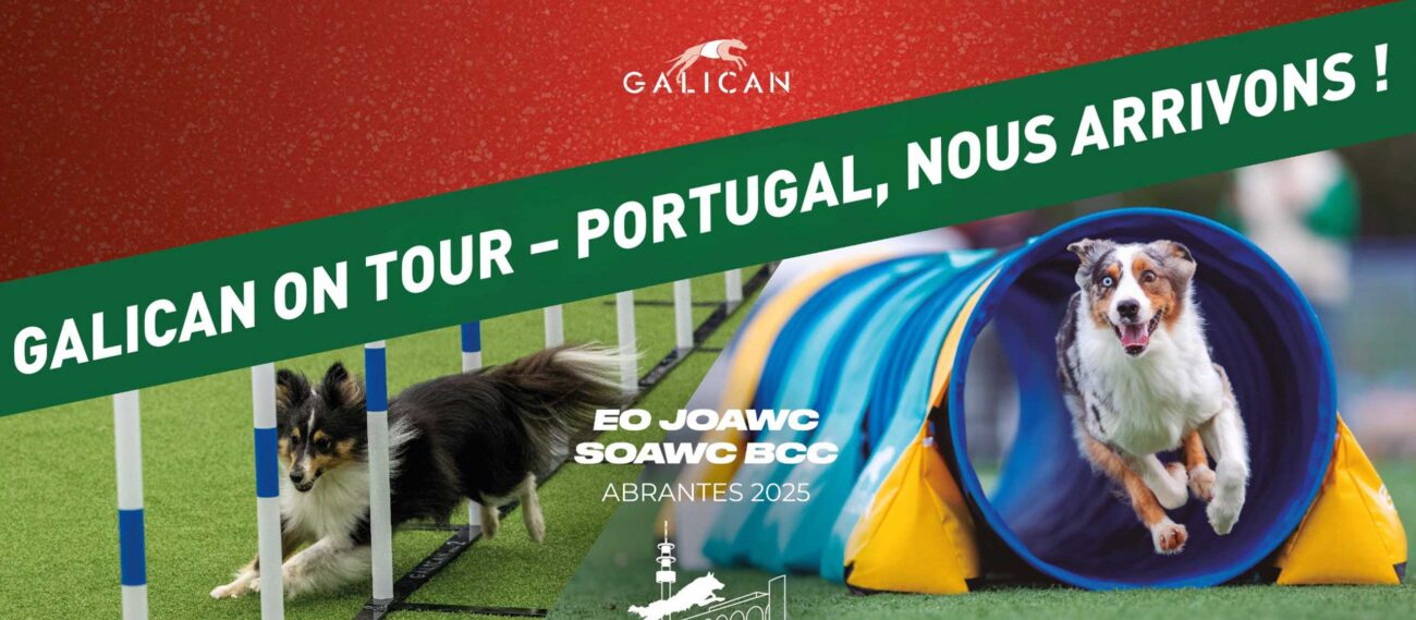 Galican on Tour – Portugal, nous voilà !