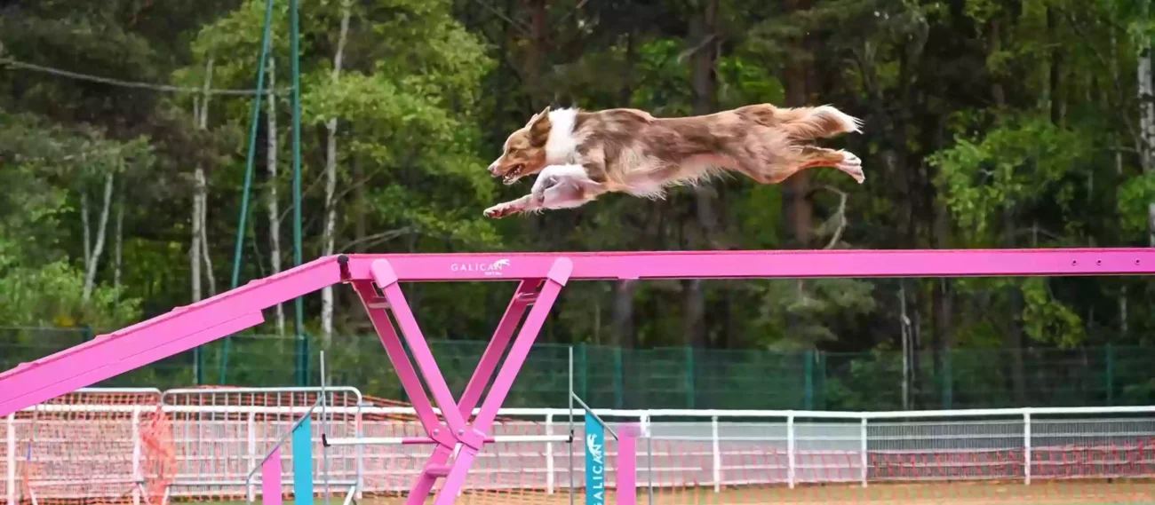 Volcanic Agility Cup 2025: Eine pinke Ausgabe voller Energie